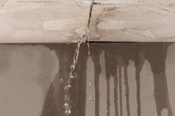 Professional Water Damage Inspection technician working in Sparta, OH